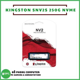 Kingston SNV2S 250G