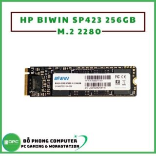 HP BIWIN SP423 256GB