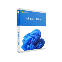 Windows 11 Pro 64-bit